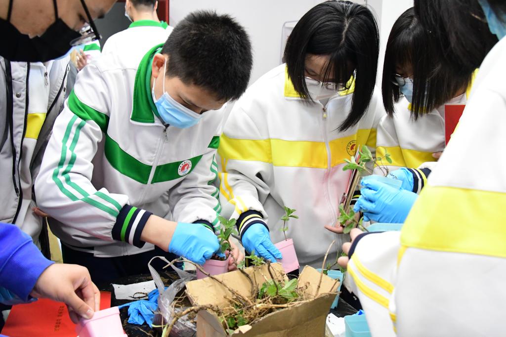 学习百年党史,为考生办实事,开招生工作新局面——独流中学师生走进我