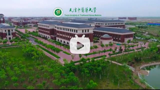 天津中医药大学本科招生网